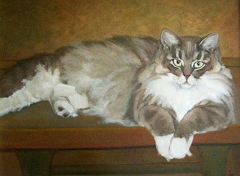 animal12
