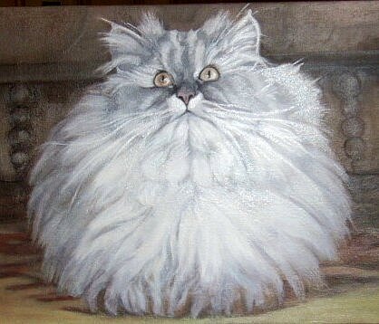 animal14